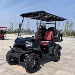 Golf Cart Manufacturer - 4KW AC Motor Hunting Car