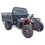 Vehicle Buggy Factory - 200-300cc Adult OEM