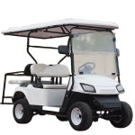Electric Buggy Supplier - Golfers Buggy Custom