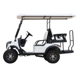 Golf Cart Factory - Discount Electric Carts Bulk