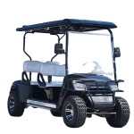 Golf Cart Manufacturer - Petrol Electric Cart USA
