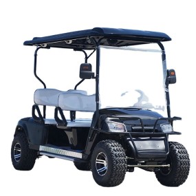 Golf Cart Manufacturer - Petrol Electric Cart USA