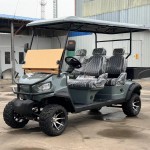 Electric Buggy Factory - 2+4 Seater Street Legal 4WD