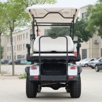 Golf Cart Factory - Discount Electric Carts Bulk