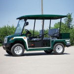 Electric Golf Cart Manufacturer - Mini 2 Seater