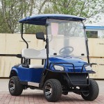 Electric Buggy Manufacturer - Cheap Golfers Vehicle