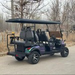 Golf Buggy Factory - 2-8 Seats Custom Hunting Cart