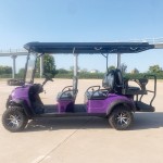 Golf Cart Factory - CE Certificate 8 Seater