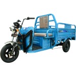 Electric Tricycle Manufacturer - 3-Wheels Cargo Box Bike