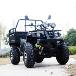 Dune Buggy Factory - 200-300cc 4 Seater