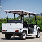 Electric Golf Cart Manufacturer - Mini 2 Seater