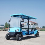 Electric Buggy Manufacturer - Cheap Golfers Vehicle