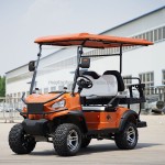 Golf Cart Manufacturer - Petrol Electric Cart USA