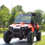 Vehicle Buggy Manufacturer - 200CC Adult Bulk
