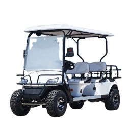 Electric Buggy Manufacturer - Cheap Golfers Vehicle