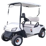 Golf Cart Supplier - RTS Electric Cart Wholesale