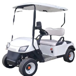 Golf Cart Supplier - RTS Electric Cart Wholesale