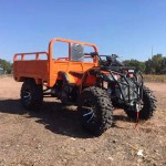 Agriculture UTV Manufacturer - 2WD/4WD Gasoline