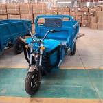 Electric Tricycle Factory - 1000W 3-Wheel Motorcycle OEM
