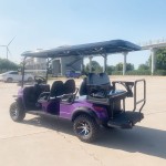 Golf Cart Factory - CE Certificate 8 Seater