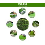 Artificial Turf Manufacturer - 20mm Landscape Synthetic Grass