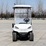 Golf Board Factory - 2 Person Solar Classic