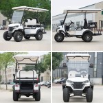Golf Car Factory - 2-6 Seaters Electric Hot
