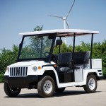 Electric Golf Cart Manufacturer - Mini 2 Seater