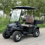Golf Club Cart Manufacturer - 48V Lifted Buggy Load