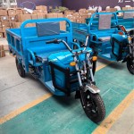 Electric Cargo Tricycle Factory - 60V 1000W Adult Transport