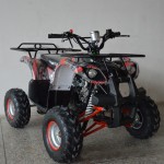 Mini Buggy Manufacturer - 2 Seater Farm UTV