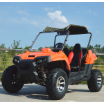 Quad Bikes Factory - 49cc-300cc Adult Buggy
