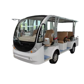 Electric Tourist Car Factory - 8-Seater Luxury Resort