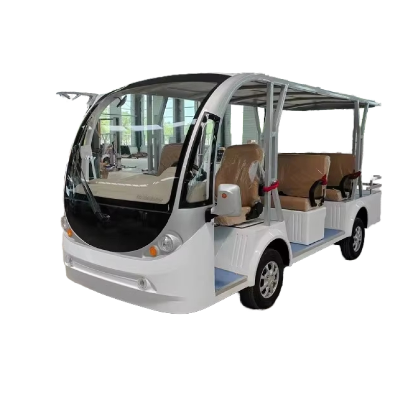 Electric Tourist Car Factory - 8-Seater Luxury Resort