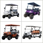 Golf Cart Manufacturer - 48V 4+2 Seats Street Legal