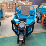 Electric Tricycle Supplier - 3-Wheel Cargo Bike Custom