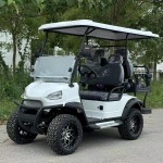 Golf Cart Factory - 48V 2-8 Seats Street Legal