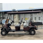 Electric Buggy Factory - 2+4 Seater Street Legal 4WD