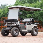 Electric Buggy Manufacturer - Cheap Golfers Vehicle