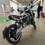 Electric Motorcycle Manufacturer - Hydraulic Disk Brake