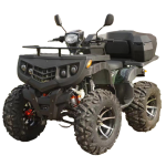 Mini Buggy Manufacturer - 200-300cc Adult 4WD