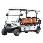Golf Cart Manufacturer - 48V 4+2 Seats Street Legal
