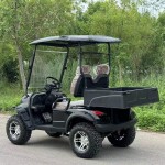 Golf Cart Manufacturer - 48V 4 Wheel Electric Hunting