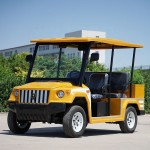 Golf Cart Manufacturer - Petrol Electric Cart USA