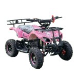 Mini Buggy Manufacturer - 2 Seater Farm UTV