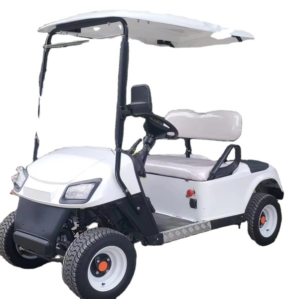 Golf Cart Factory - 2 Seater Mini Electric Low