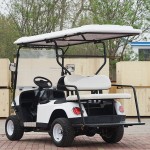 Electric Beach Buggy Manufacturer - 4 Passenger Golf