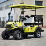 Golf Board Factory - 2 Person Solar Classic