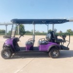 Golf Cart Factory - 2-6 Seaters Wholesale Cheap