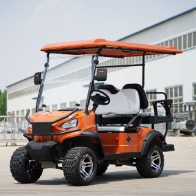 Golf Cart Manufacturer - 5 Seats Entertainment Club